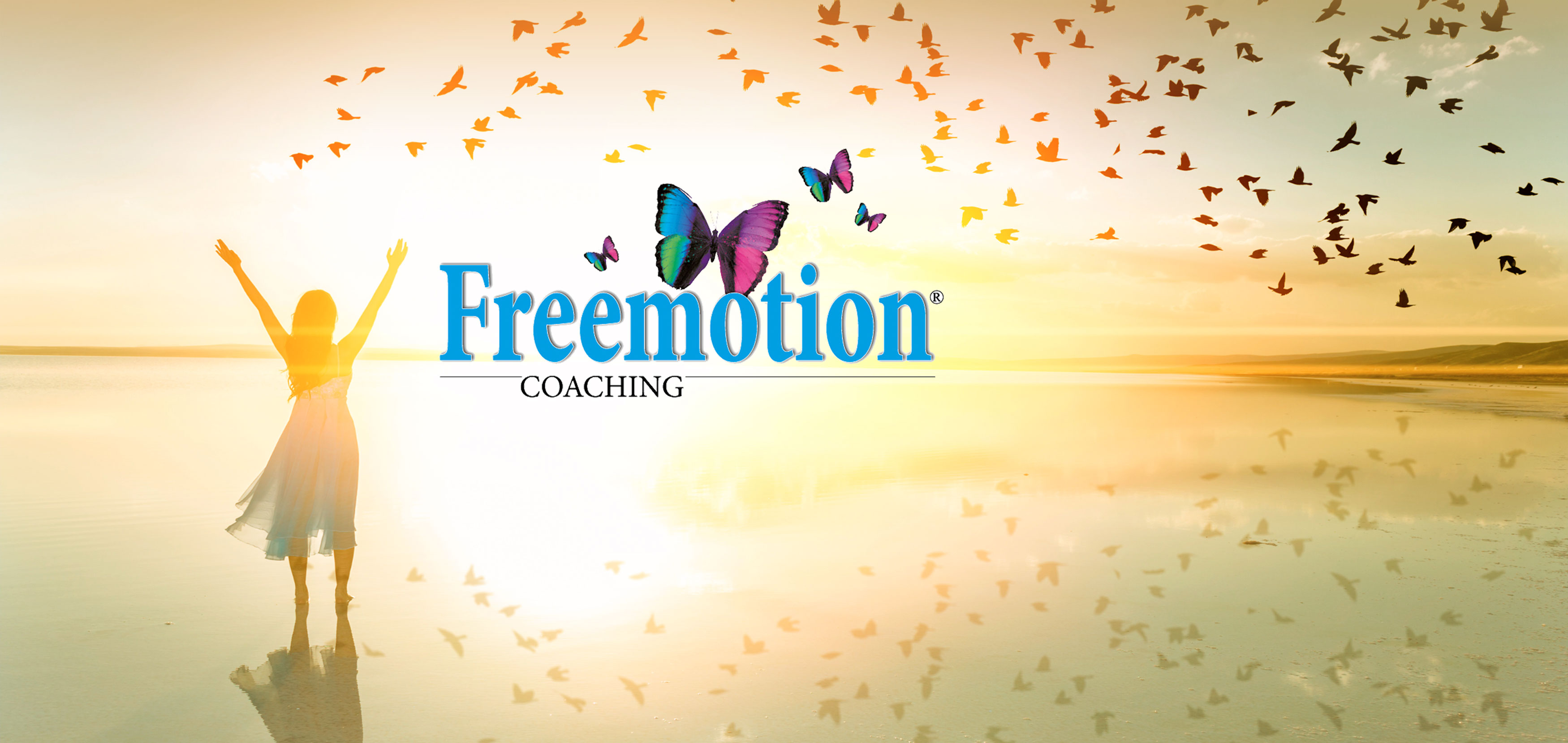 Freemotion-Coaching Über mich Headerbild